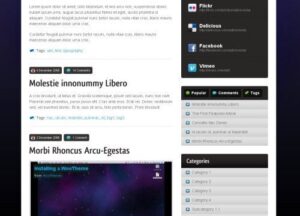 WooThemes Therapy Premium Theme 1.4.0