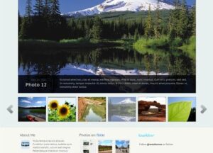 WooThemes Statua Premium Theme 1.3.0