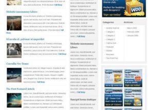WooThemes Gotham News Premium Theme 3.0.0