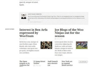 WooThemes Flipflop Premium Theme 1.1.1