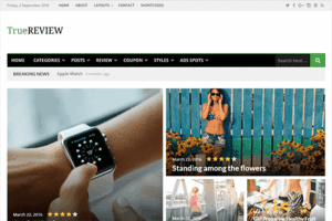 Theme Junkie TrueReview WordPress Theme 1.0.5