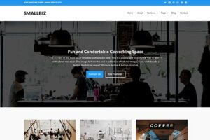 Theme Junkie Smallbiz WordPress Theme 1.0.2