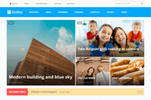 Theme Junkie SiteBox WordPress Theme 1.2.0