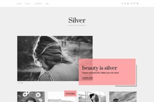 Theme Junkie Silver WordPress Theme 1.0.2