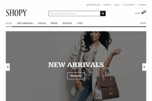 Theme Junkie Shopy WordPress Theme 1.0.3