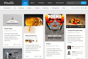 Theme Junkie Pinable WordPress Theme 1.0.5