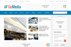 Theme Junkie GoMedia WordPress Theme 1.0.6
