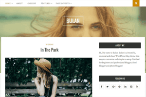 Theme Junkie Bulan WordPress Theme 1.0.9