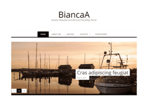Theme Junkie BiancaA WordPress Theme 1.0.6