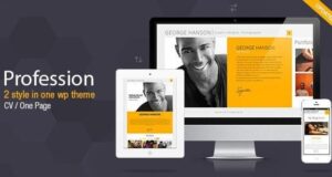 Profession – One Page CV Resume Theme 2.9.4