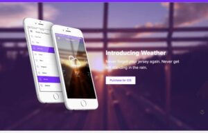 OboxThemes Weather for Layers WordPress Theme 1