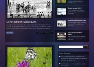 OboxThemes Depth WordPress Theme 1.2.5