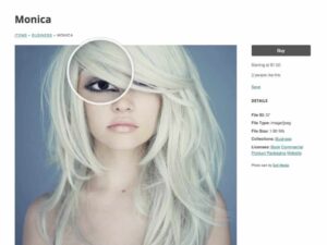 Graph Paper Press Sell Media Magnifier Addon 2.0.1