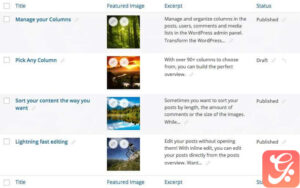 Admin Columns Pro(core) 6.4.11