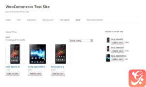 WooCommerce Products of the Day 1.2.1