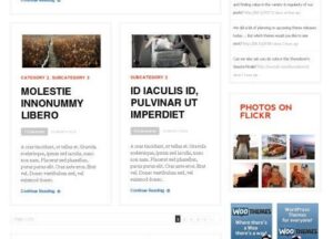 WooThemes Daily Edition Premium Theme 1.6.9