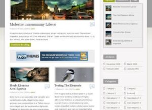 WooThemes Busybee Premium Theme 2.9.4