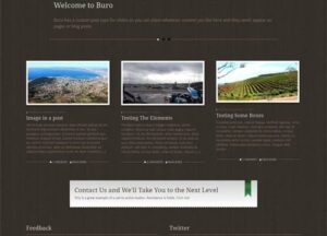 WooThemes Buro Premium Theme 1.3.10