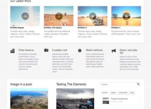 WooThemes Olya Premium Theme 1.2.22