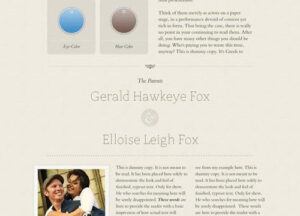 WooThemes Announcement Premium Theme 1.3.4