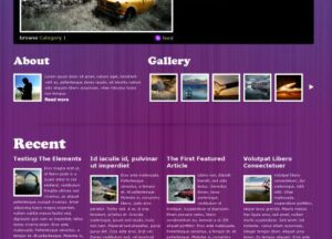 WooThemes Groovy Blog Premium Theme 1.6.4