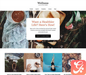 StudioPress Wellness Pro Theme 1.1.4