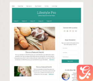 StudioPress Lifestyle Pro Genesis WordPress Theme 3.2.4