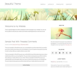 StudioPress Beautiful Pro Genesis WordPress Theme 1.1