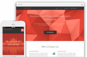 Thrive Themes Squared WordPress Theme  2.11.1
