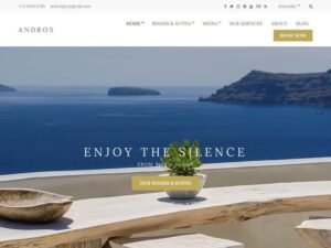 CSSIgniter Andros WordPress Theme 1.5.1