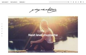CSSIgniter Paperbag WordPress Theme 1.5.3