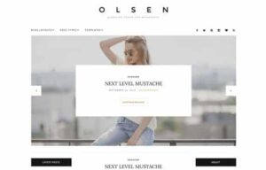 CSSIgniter Olsen WordPress Theme 2.8.5