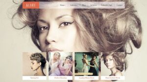 CSSIgniter Glare WordPress Theme 2.0.2