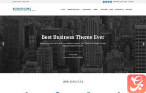 CSSIgniter Business3ree WordPress Theme 2.6.2