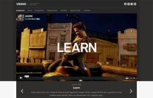 CSSIgniter Vidiho WordPress Theme 2.4.1