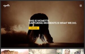 CSSIgniter Vignette WordPress Theme 1.8