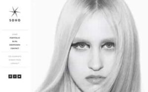 Viva Themes Soho WordPress Theme 2.4