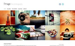 Viva Themes L Image WordPress Theme 3.0.0
