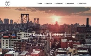 Viva Themes Telesis WordPress Theme 1.4