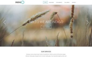 Viva Themes Indigo WordPress Theme 2.2