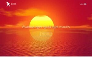 Viva Themes Pulse WordPress Theme 1.1.0