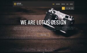 Viva Themes Lotus WordPress Theme 1.1