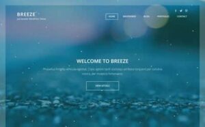 Viva Themes Breeze WordPress Theme 1.1