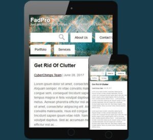 CyberChimps FadPro WordPress Theme 1.0.1