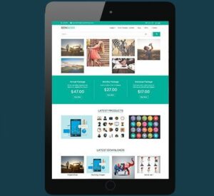 CyberChimps Iconwish WordPress Theme 1.0.0