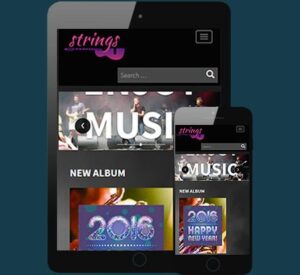 CyberChimps Strings WordPress Theme 1.1