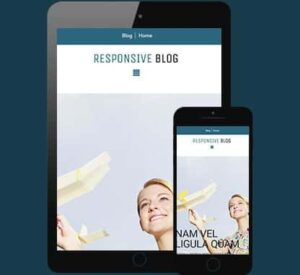 CyberChimps Responsive Blog WordPress Theme 4.1