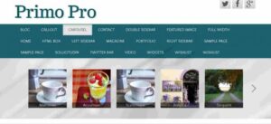 CyberChimps Primo Pro WordPress Theme