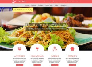 CyberChimps Cordon Bleu WordPress Theme 1.1