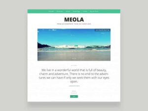 Elmastudio Meola WordPress Theme 1.0.5